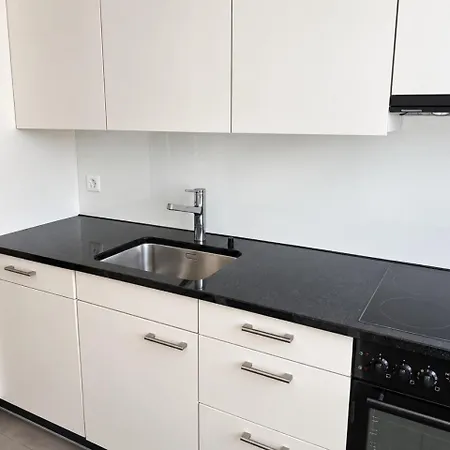 Quiet 1br In Center - Mill 412 Appartamento Zurigo